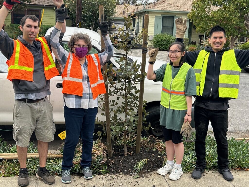 CityTrees Organizes Successful All-Volunteer Tree Planting Event in Redwood City Before Halloween