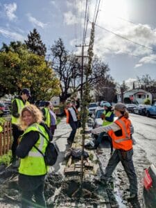 Volunteers staking trees
