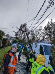 Volunteers putting the tree in the ground