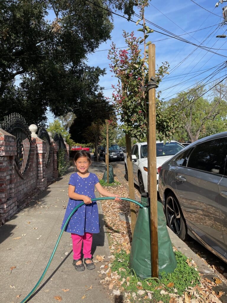 Girl watering newly planted City Tree