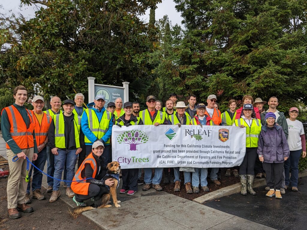 Rooting for Change: Arbor Day Brings CityTrees to Redwood City’s Palm Park Neighborhood