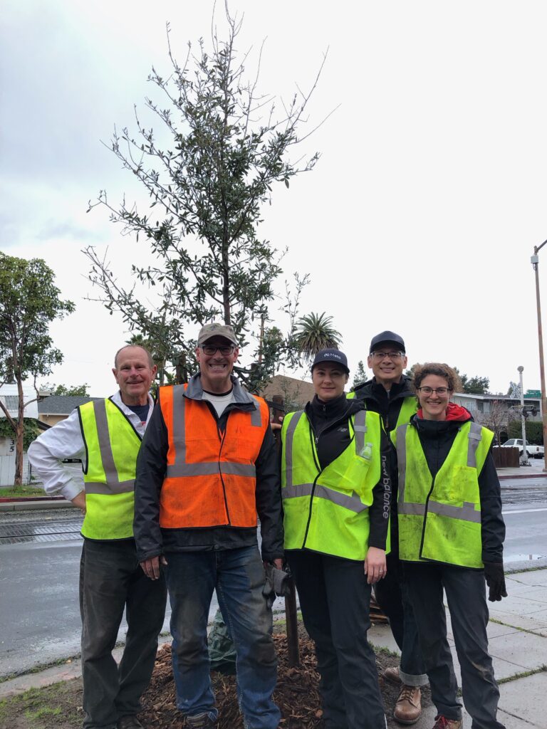 CityTrees of Redwood City: A Rainy Day, Determined Hearts, and 10 New Trees