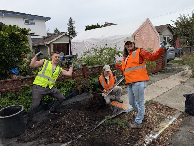 Beating the Rain: 11 New Trees Find Homes in Redwood City Beating the Rain: 11 New Trees Find Homes in Redwood City