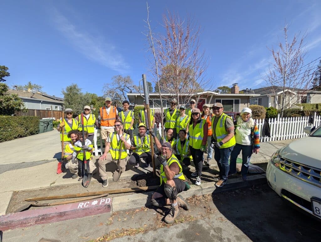 Greening Hudson Avenue: A Sunny Success for CityTrees Greening Hudson Avenue: A Sunny Success for CityTrees