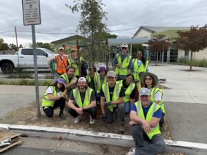 EA team celebrates the planting of the 24-inch box oak.